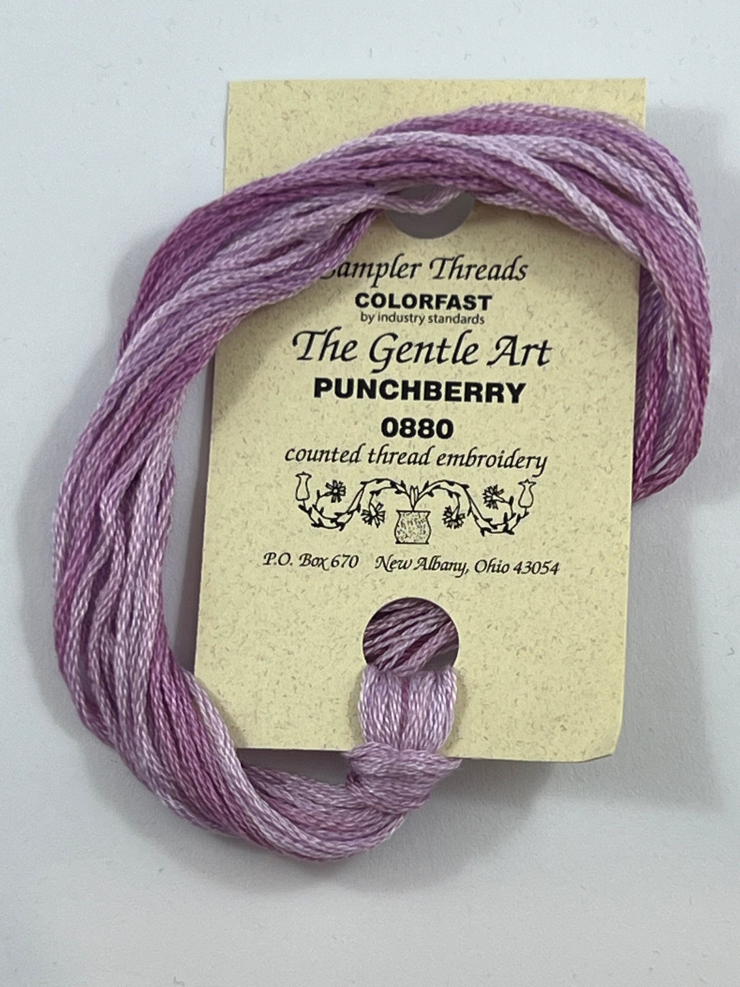 Punchberry 0880 The Gentle Art Sampler Thread 6 Stranded Hand Dyed Embroidery Floss