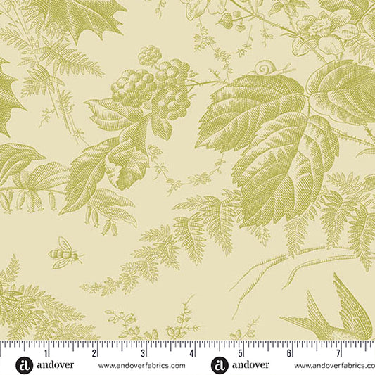 Vermont Peapod A10285LV by Laundry Basket Quilts for Andover Fabrics