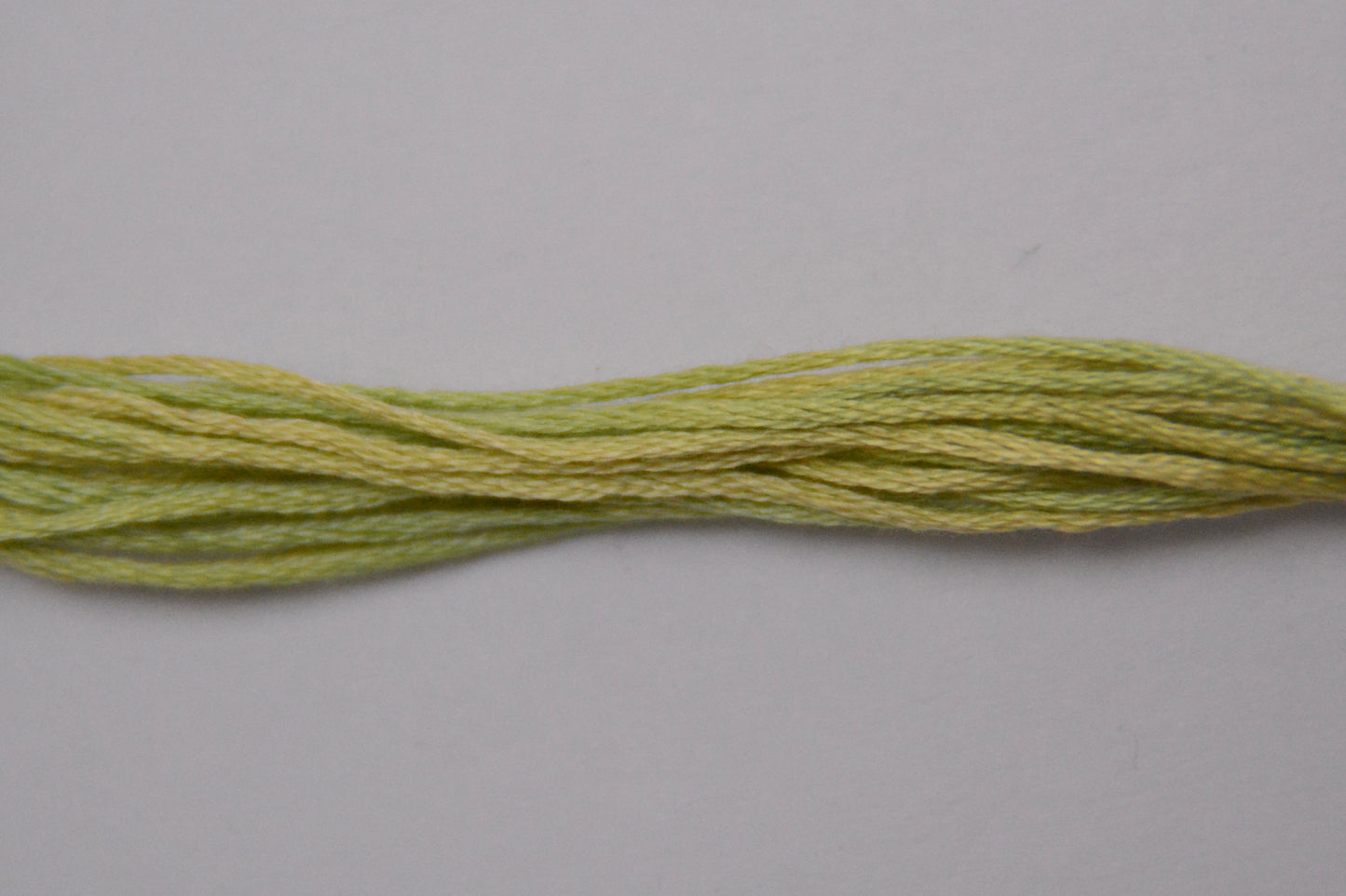 Butter Bean 1189 Weeks Dye Works 6-Strand Hand-Dyed Embroidery Floss