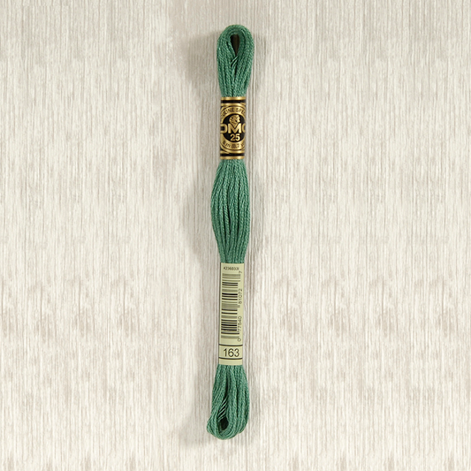 DMC 163 Medium Caledon Green 6 Strand Embroidery Floss