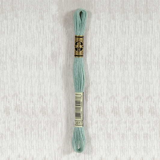 DMC 3817 Light Celadon Green 6 Strand Embroidery Floss