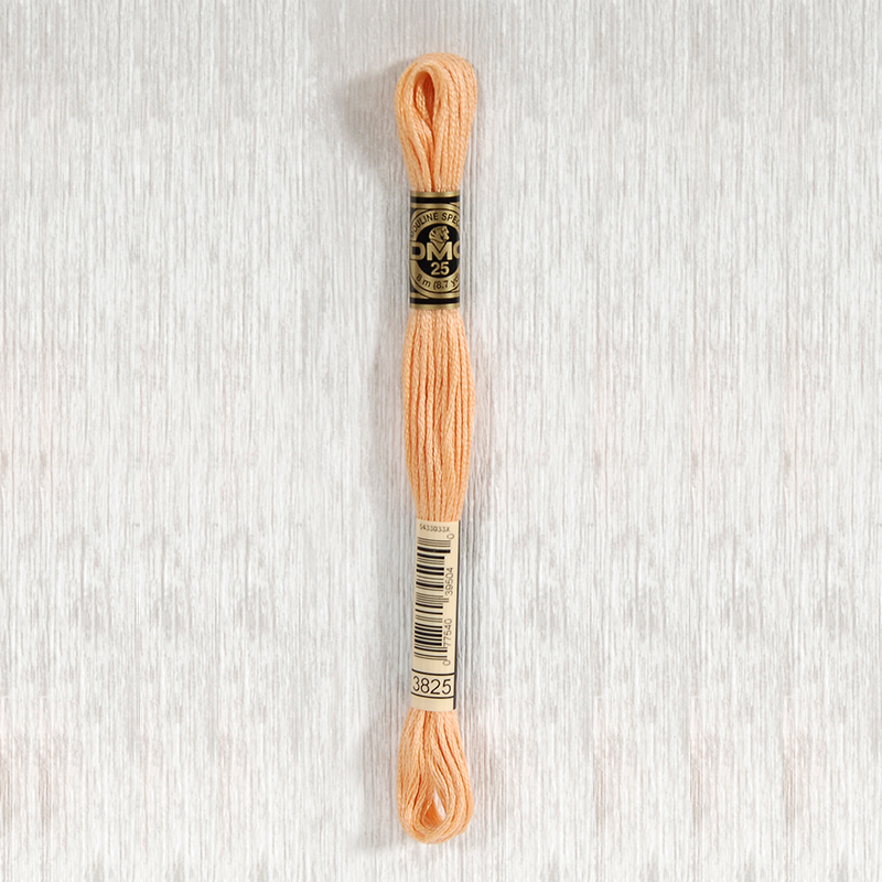 DMC 3825 Pale Pumpkin 6 Strand Embroidery Floss