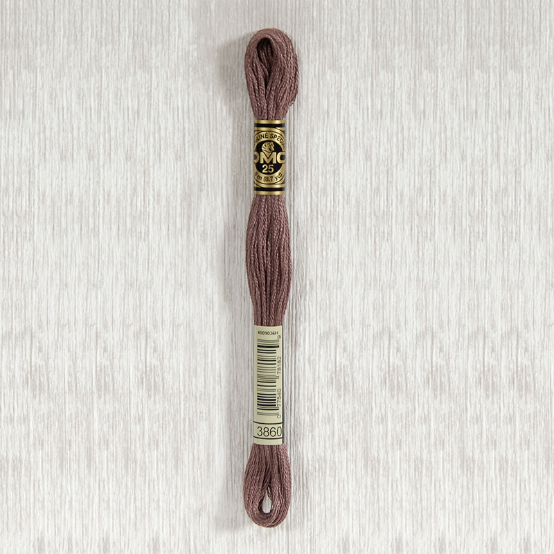 DMC 3860 Cocoa 6 Strand Embroidery Floss