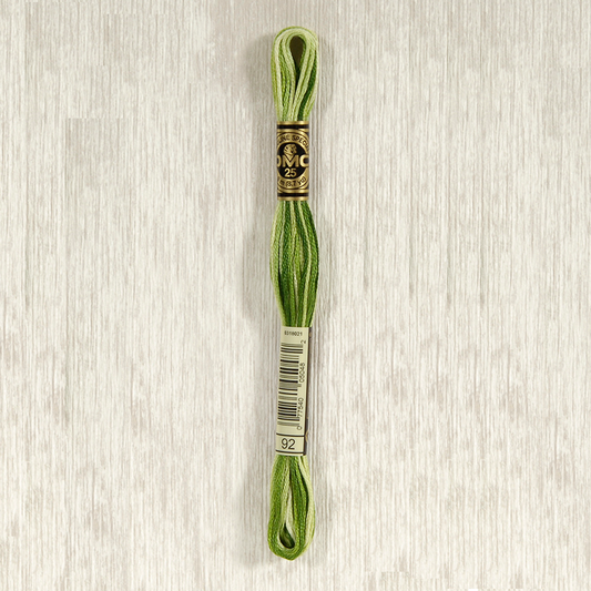 DMC 92 Variegated Avocado 6 Strand Embroidery Floss