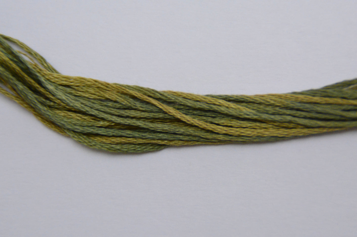 Kudzu 2200 Weeks Dye Works 6-Strand Hand-Dyed Embroidery Floss