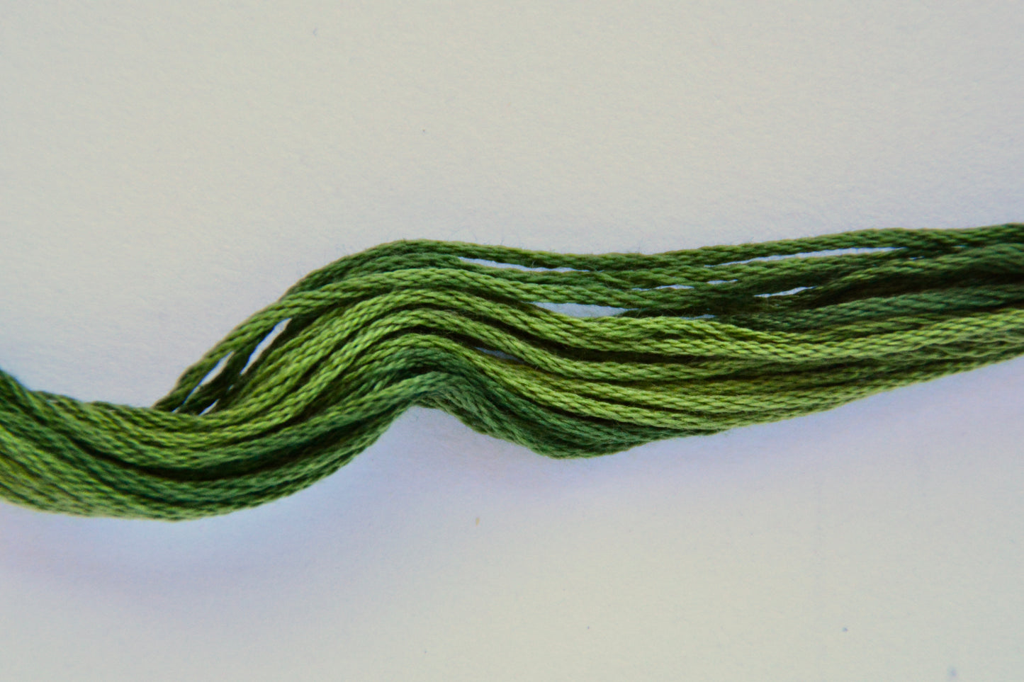 Steamed Broccoli Classic Colorworks 6-Strand Hand-Dyed Embroidery Floss