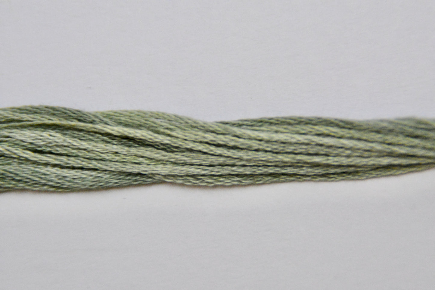 Poblano Pepper Classic Colorworks 6 Strand Hand-Dyed Embroidery Floss