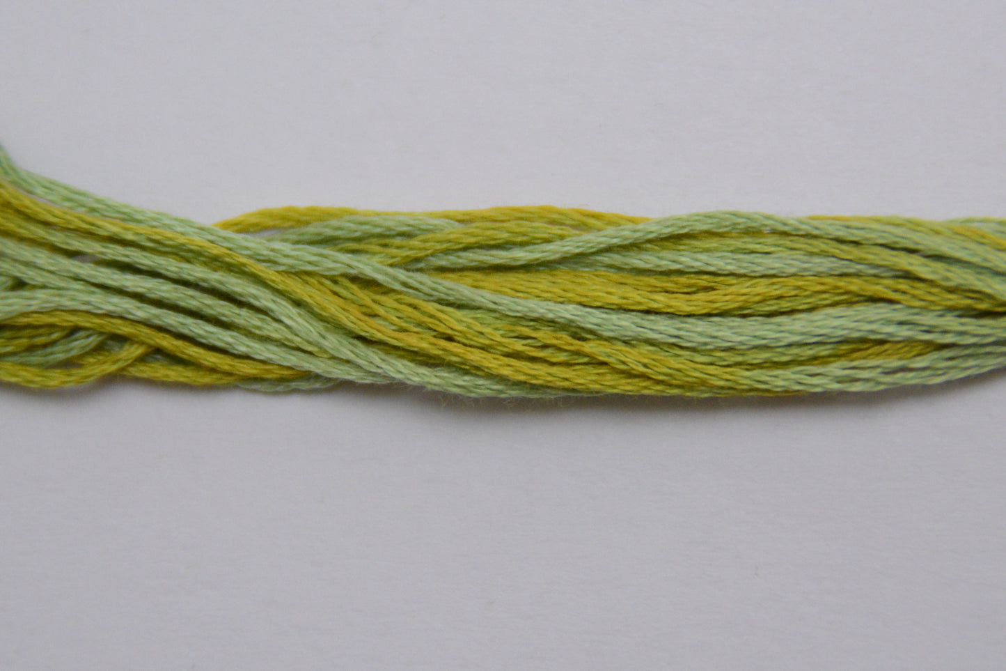 Pistachio 2206 Weeks Dye Works 6-Strand Hand-Dyed Embroidery Floss