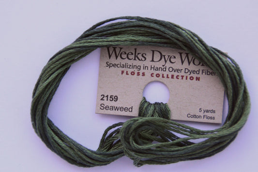 Seaweed 2159 Weeks Dye Works 6-Strand Hand-Dyed Embroidery Floss