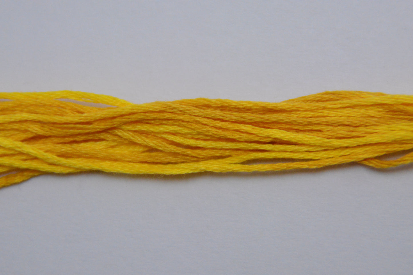 Squash 2224 Weeks Dye Works 6-Strand Hand-Dyed Embroidery Floss