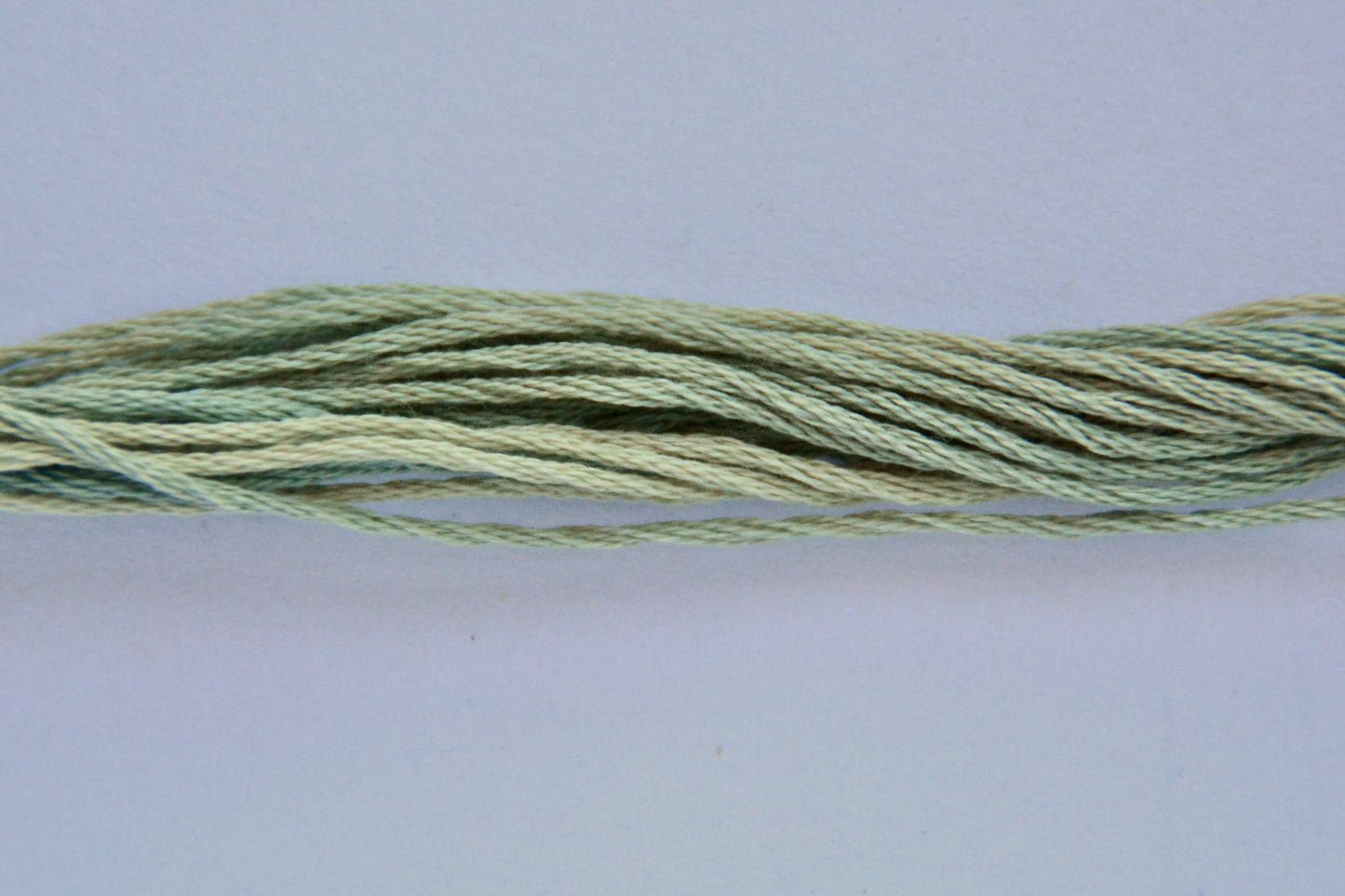 Tiny Vine Classic Colorworks 6-Strand Hand-Dyed Embroidery Floss