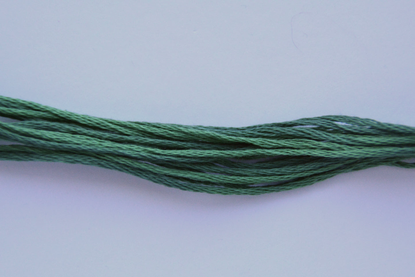 Kentucky Bluegrass 2152 Weeks Dye Works 6-Strand Hand-Dyed Embroidery Floss