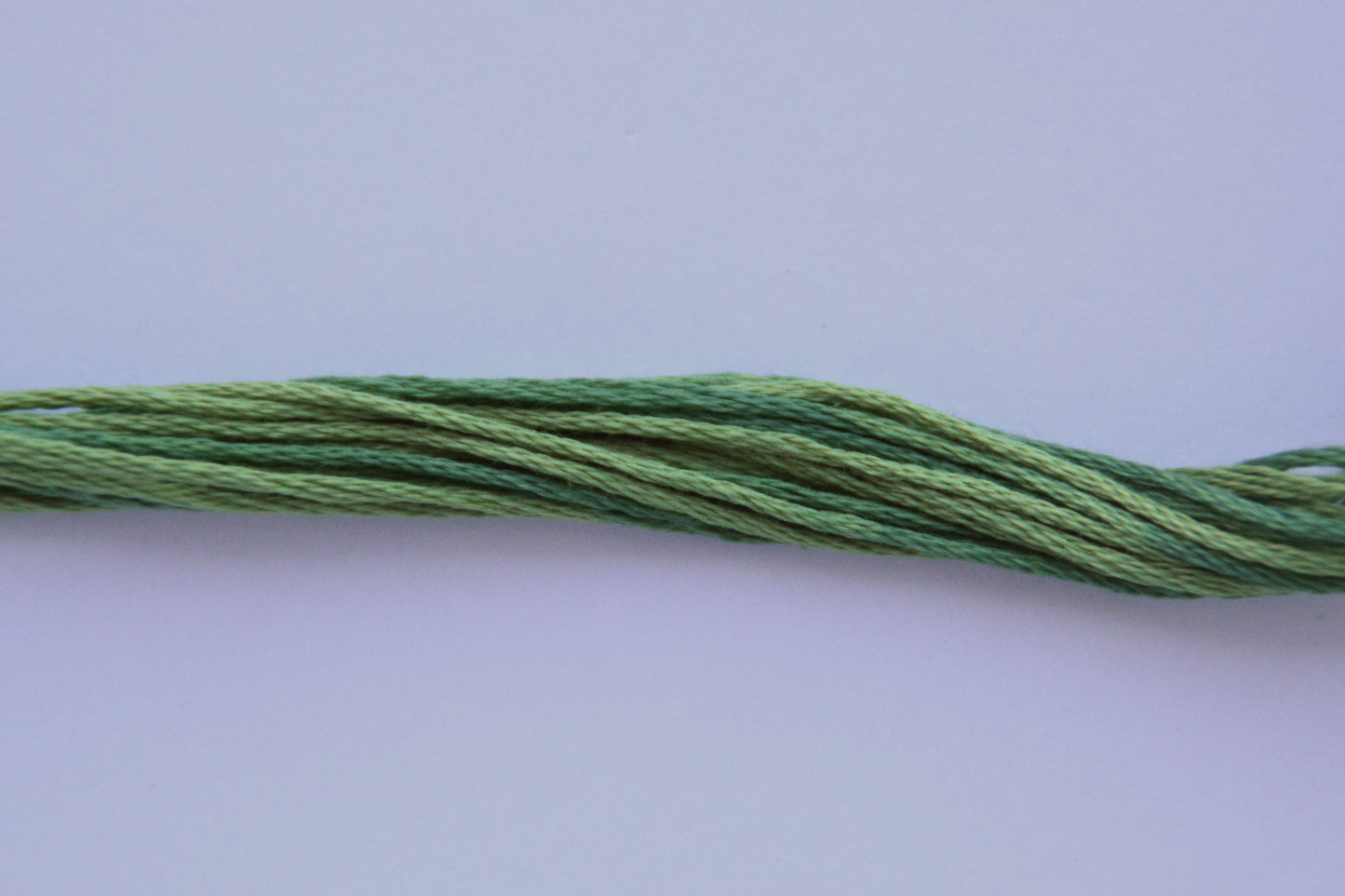 Bayberry 2166 Weeks Dye Works 6-Strand Hand-Dyed Embroidery Floss